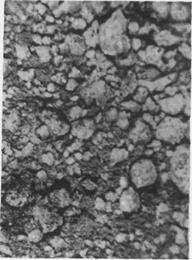 Образцы лунной породы, доставленной на Землю автоматической станцией «Луна-16» (1970 г.)